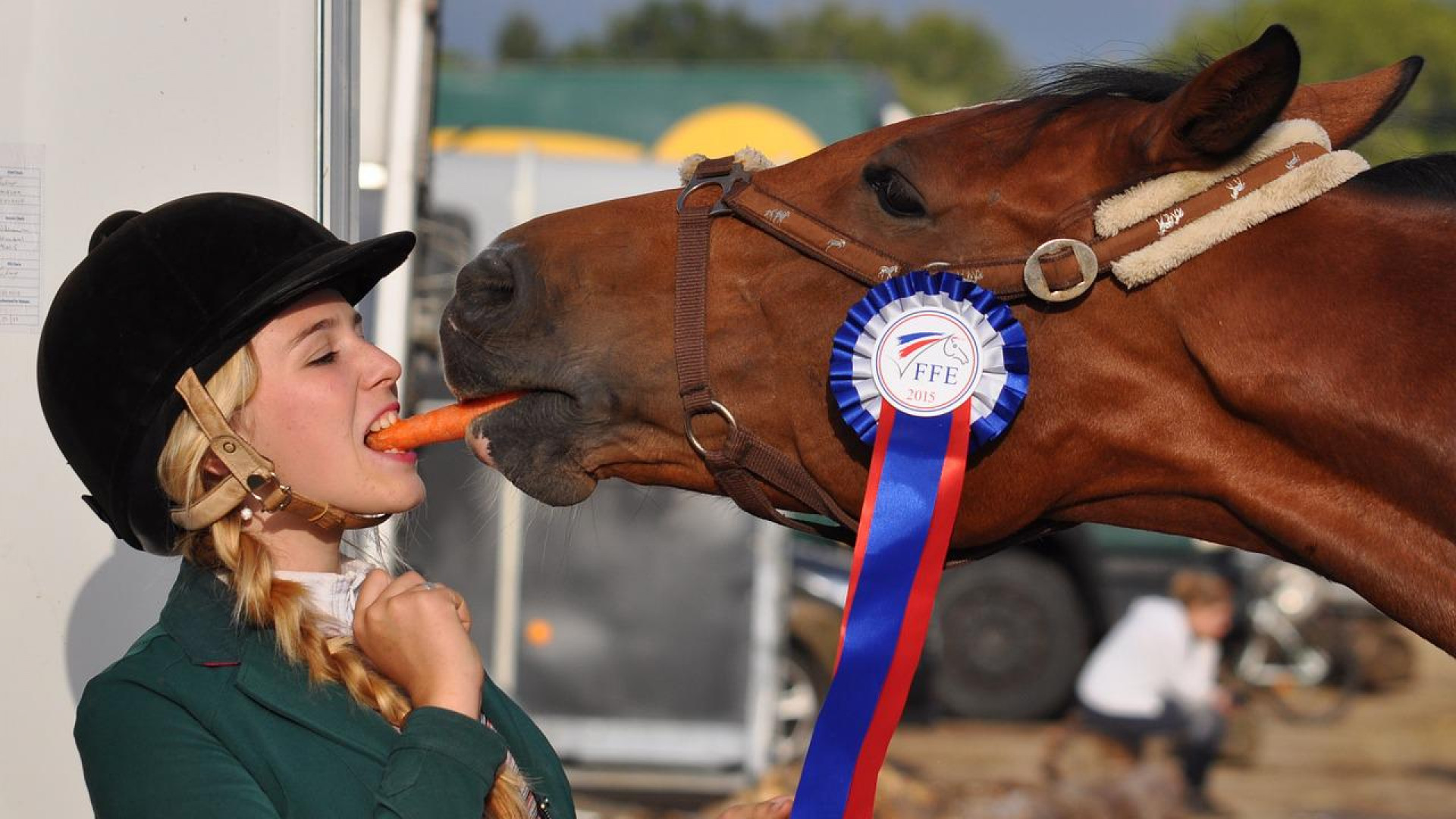 Pourquoi est-il nécessaire de donner à votre cheval des granulés ou floconnés ?